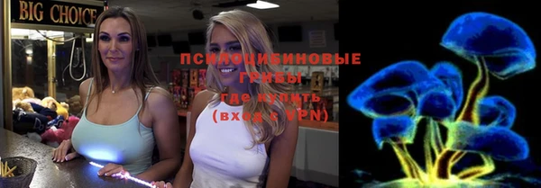 гидра Россошь