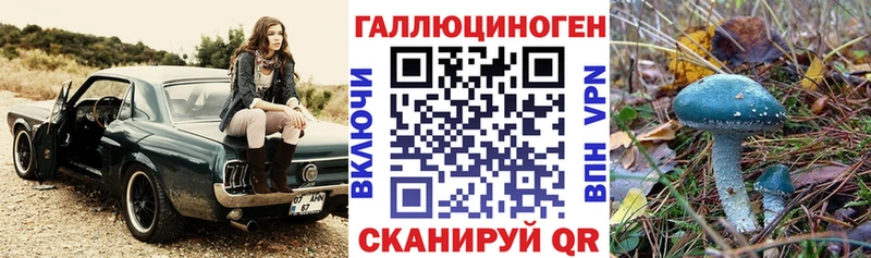 Псилоцибиновые грибы GOLDEN TEACHER  Мегион 